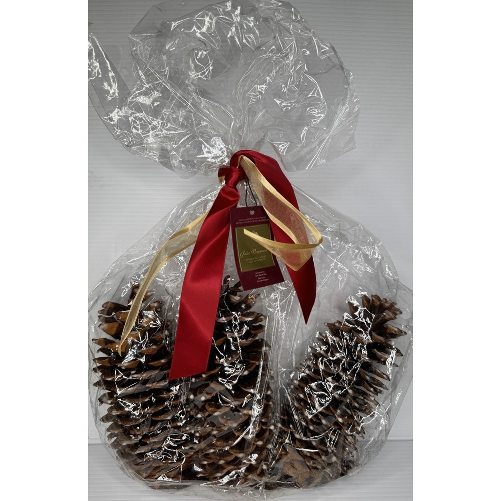 Julia Raymond Luxury Pinecone Potpourri Aromatic Awakening 10 oz NEW Holiday